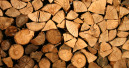 PEFC: Wood from Russia and Belarus is considered conflict wood