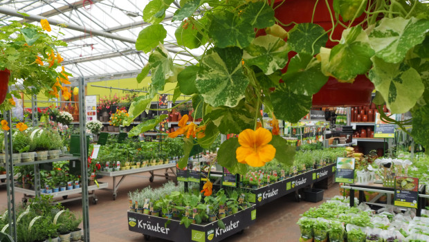 In Germany, the garden market had a sales volume vo EUR 19.9 bn in 2024.