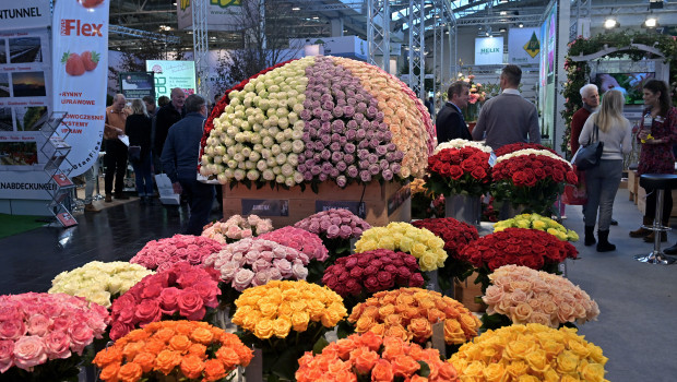 IPM Essen is the leading international trade fair for horticulture.