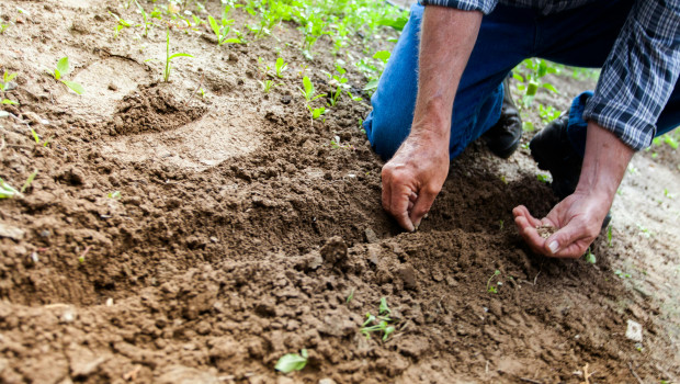 Yougov and Galaxus have analysed the differences in gardening across Europe.