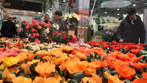 This year, significantly more than 40,000 visitors came to IPM Essen. 