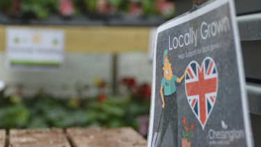 UK garden market up by three per cent in 2018